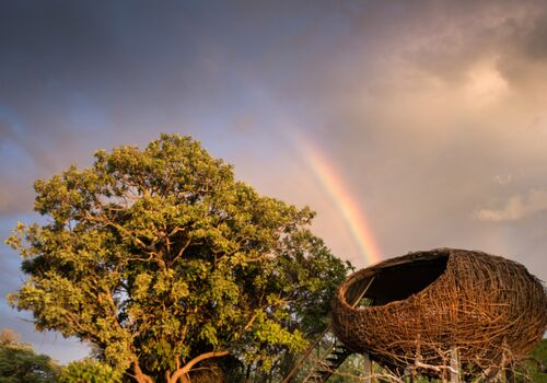 Green Safaris - Chisa Busanga Camp
